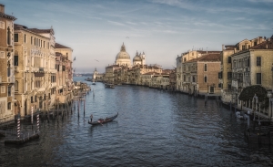 Salon Honorable Mention